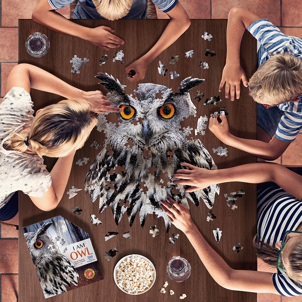 Buy Madd Capp I AM OWL 300 PIECE JIGSAW PUZZLE Toys"R"Us