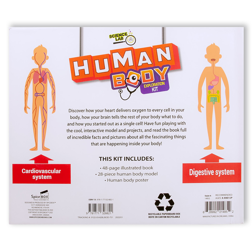 Buy SpiceBox Science Lab Human Body Kit Unveil the Marvels Within You Toys"R"Us
