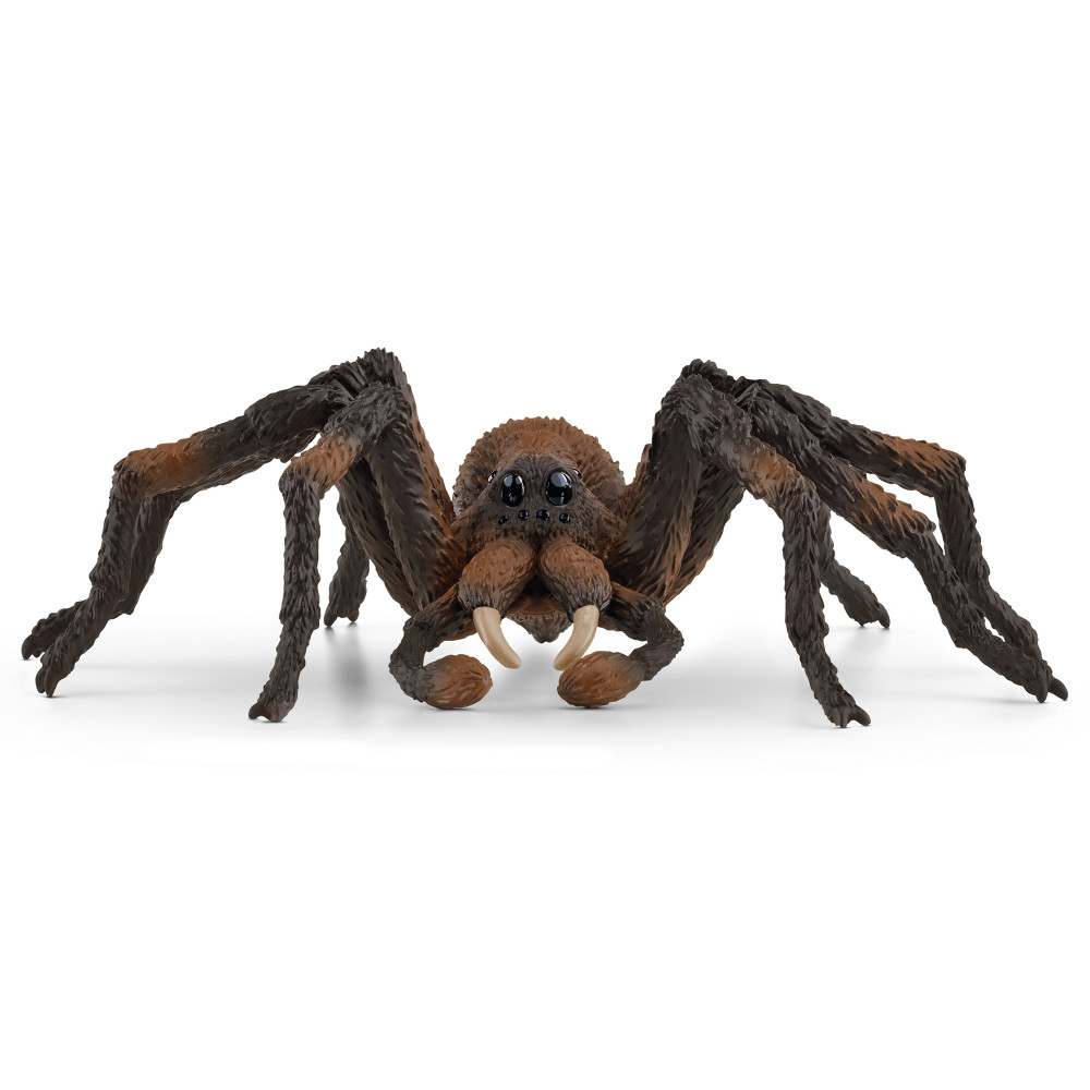 Buy Schleich Wizarding World of Harry Potter: Aragog - Collectible